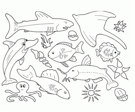 Printable Ocean Creatures Coloring Page Download Print Or Color