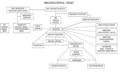 Gallery Of Hospital Management Hierarchy Chart Hierarchystructure Com