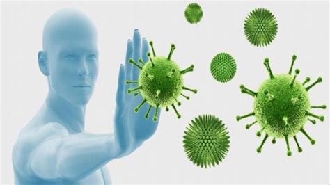 وباء فيروس كورونا كوفيد 19 جامعة بيرزيت