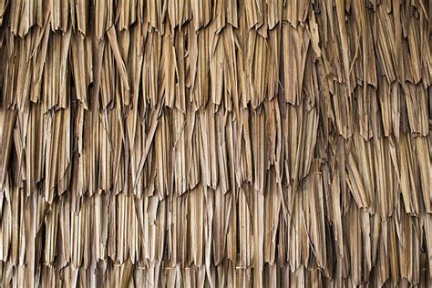 Thatched Roof Texture Stock Photos Pictures And Royalty Free Images Istock