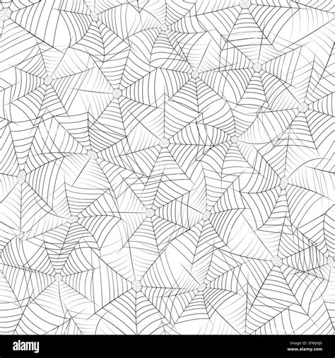 Vector Seamless Texture With Black Spider Web On A White Background