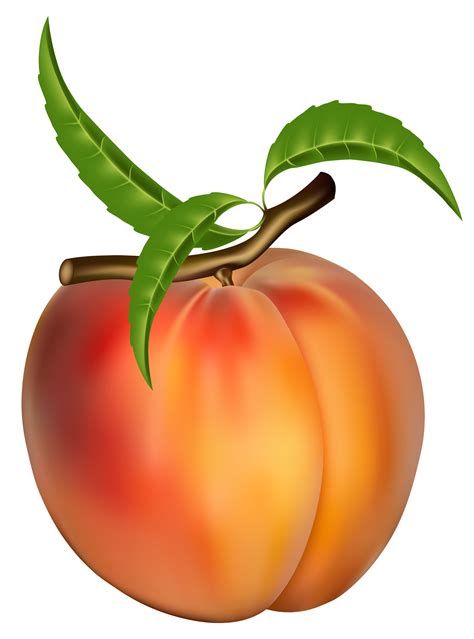 Free Peach Clip Art Pictures Clipartix