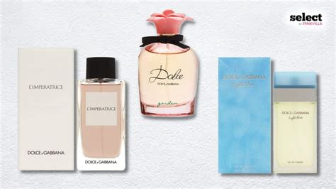 8 Best Dolce And Gabbana Perfumes For An Opulent Embrace Pinkvilla