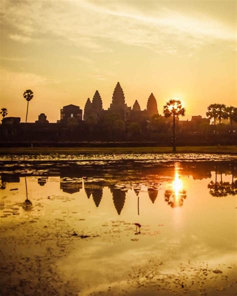 The Ultimate Guide To Visiting Angkor Wat At Sunrise Tips Tricks You