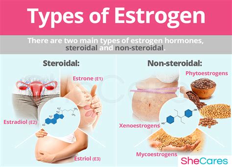 About Estrogen Understanding Estrogens Function Shecares