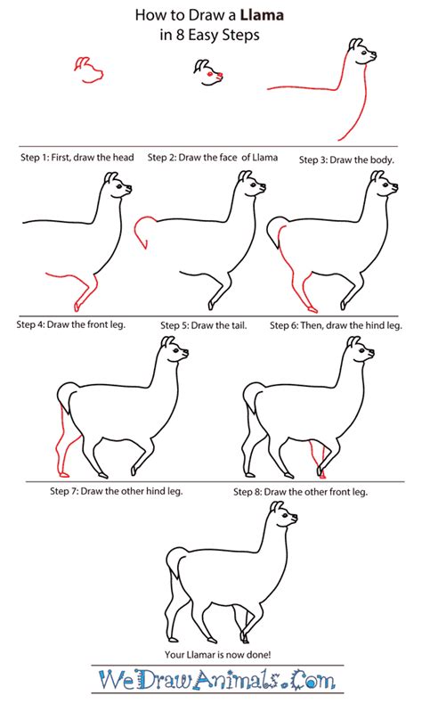 Begin by drawing the llama's head. How To Draw Llamas & Sloths - diy Thought