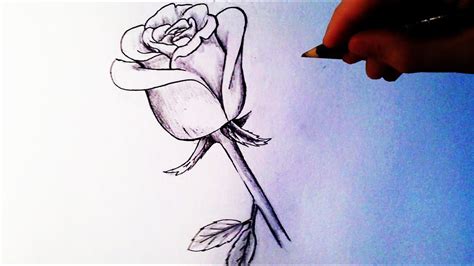 How To Draw A Rose Easy Tutorial Youtube