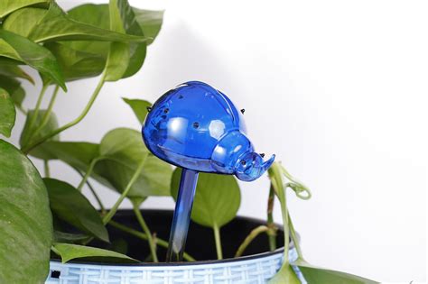 Indoor Plant Glass Watering Globes Self Watering Automatic Etsy Uk