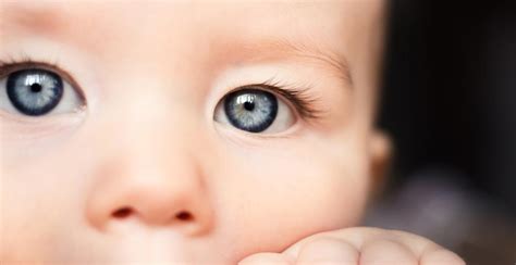 Infant Eye Exam First Sight Vision Care