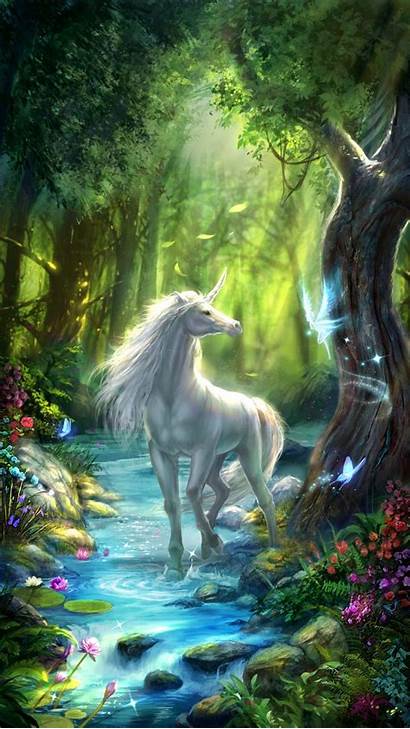 Fairy Unicorn Fairies Unicorns Forest Wallpapers Fantasy