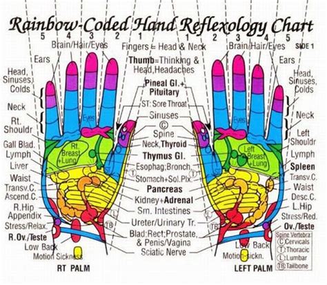 My Own Thoughts Acupressure Reflexology Charts Collection Reflexology Hand Chart Acupressure