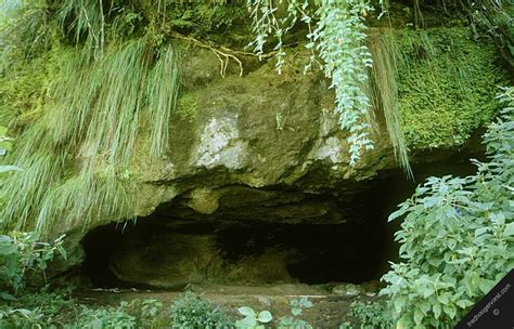 Amazon Cave