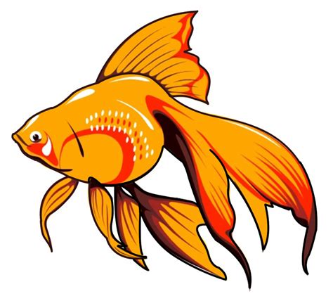 Animated Fish Png  Clip Art Library