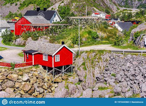 Lofoten Summer Landscape Stock Photo Image Of Norge