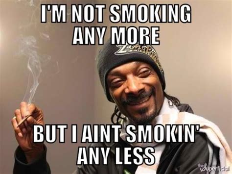 Best Snoop Dogg Weed Memes And Smoking Weed Quotes 2015