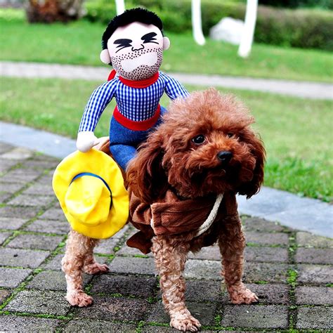 Buy Novelty Funny Halloween Dog Costumes Pet Clothes