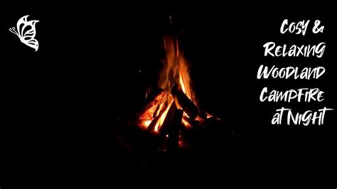 🌲 Cosy Relaxing Woodland Campfire 2 Hours Crackling Fire Peaceful