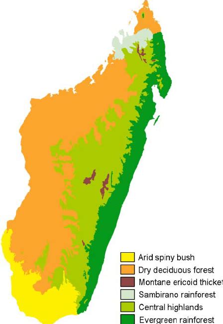 Illustration Of Biome Distributions In Madagascar Download