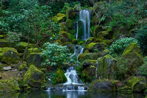 Free Download Stones Portland Japanese Oregon Moss Nature Wallpaper