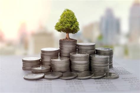 Community Investment Fund - IndiaFilings