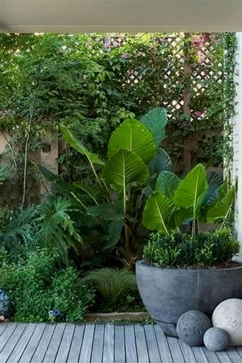 Tropical Garden Plants Small Tropical Gardens Tropical Garden Design