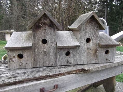 Classic Barnwood Birdhouse 5plex Bird Houses Bird Houses For Sale