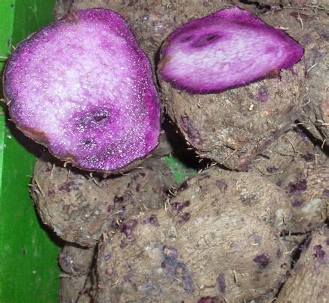 Travels And More With Cecilia Brainard Philippine Cooking Ube