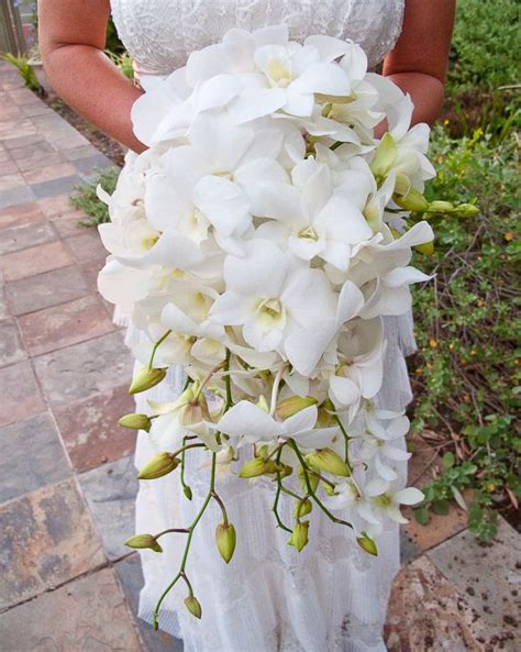 Phalaenopsis Orchids White Orchid Bouquet White Bridal Bouquet White