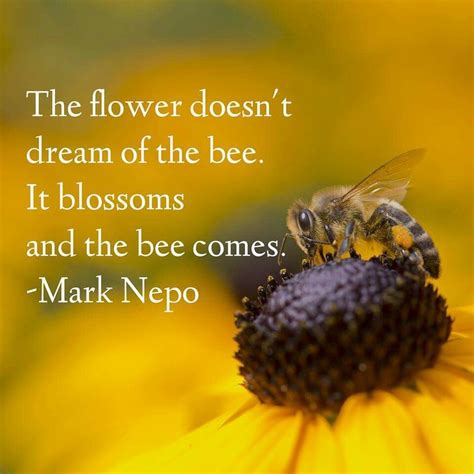 Blossom With Images Bee Quotes Flower Quotes Bee
