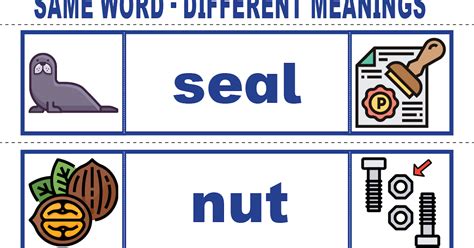 Vocabulary Cards Same Word Different Meanings