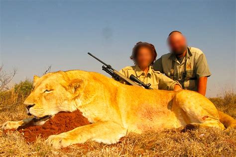 Brits Offered Chance To Shoot Elephants And Lions In Sick Hunters Holidays Daily Star