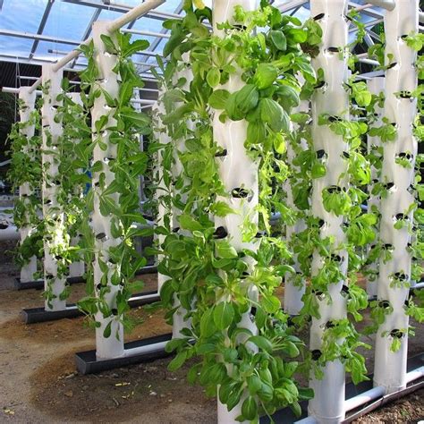 Introducing Our Aeroponic Farming Systemnow Everybody Can Pick Thier