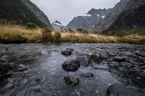 Monkey Creek In Fiordland New Zealand Stock Photo Image Of Nature