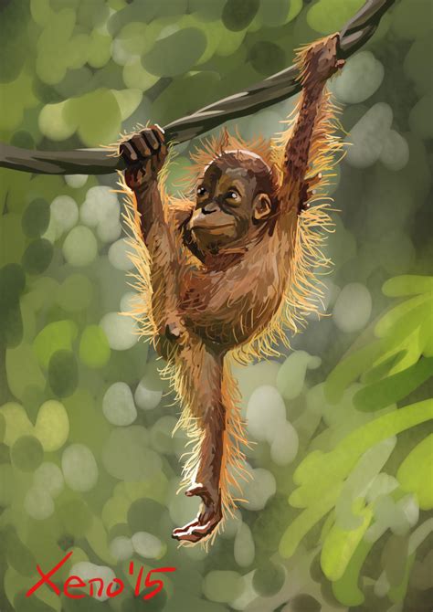 Daily Sketch 10 Baby Orangutan By Xeno Agito On Deviantart