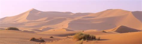 Wallpaper Sahara Sand Desert Morocco Sanddune Sanddunes Marokko