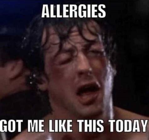 These Memes Are Just As Bad As Your Allergies 29 Pics