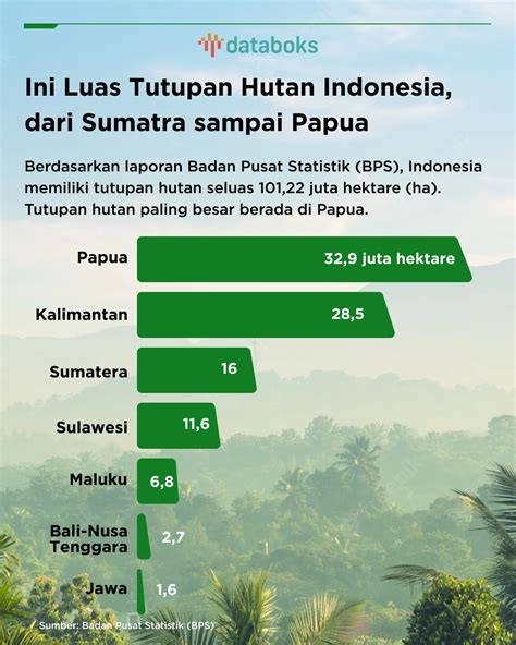 Luas Tutupan Hutan Di Indonesia Tahun Dan Lokadata Hot Sex Picture