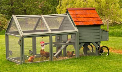 Innovative Chicken Coops Can Give A Yard Some Chic