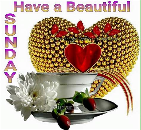 Have A Beautiful Sunday God Bless Yall Sunday Morning Quotes Good