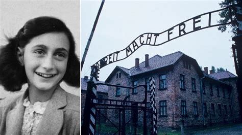 The Tragic Fate Of Anne Frank A Tale Of Suffering And Resilience