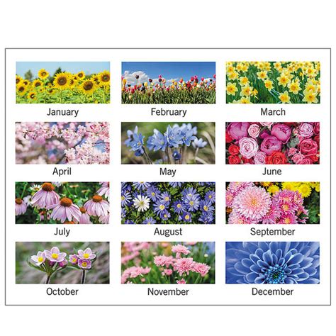 At A Glance 89805 22 X 17 Floral Panoramic Monthly January 2023