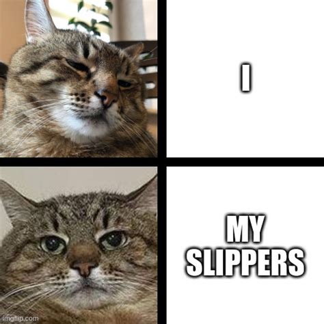 My Slippers Imgflip