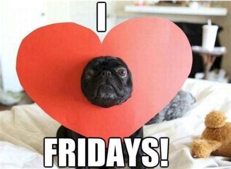 I Love Fridays Dog Humor
