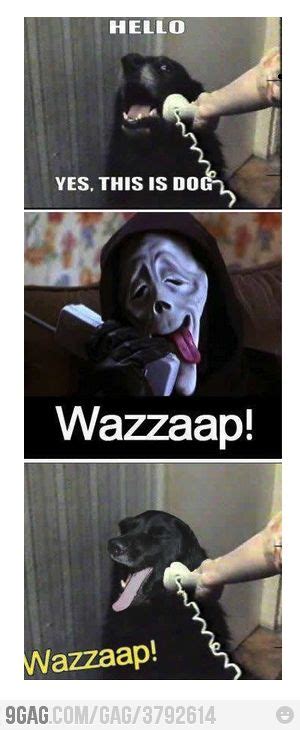 Wazzap Funny Scary Movies Scary Movies Scary Movie 1