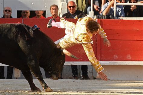 Matador Receives Karma As Hes Gored In The Butt By Bull