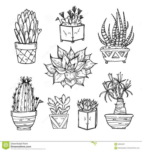 Does your little one enjoy coloring and love flowers too? Cactus And Succulents Collection In Small Flowerpots On ...