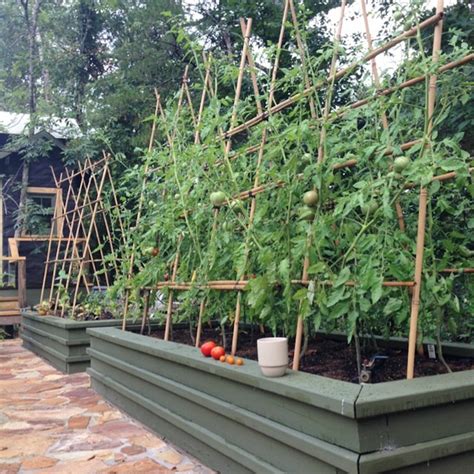 Tuteurs Tomates Treillis Faits Maison Types Conseils Et Astuces Vertical Garden Diy