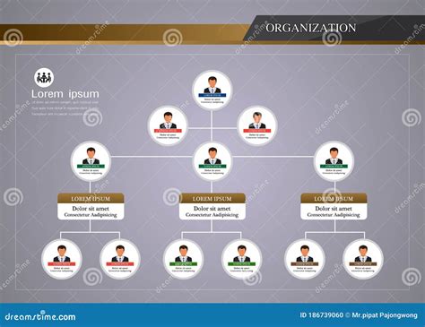 Organization Chart Infographics Stock Vector Illustration Of