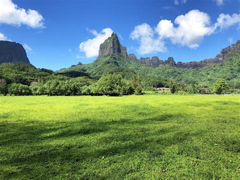 Where To Take The Best Photos In Moorea French Polynesia