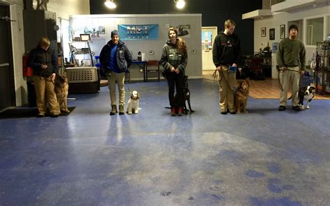 Michigan Dog Trainers Train The Trainer Michigan Dog Training
